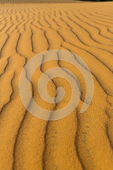 Yellow sandy wavy dunes texture