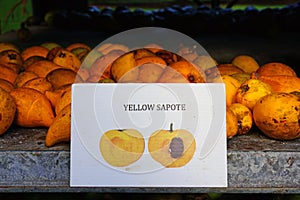 A yellow sapote fruit