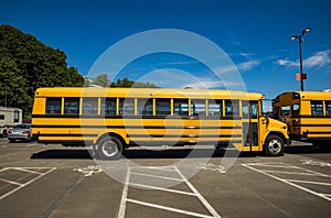 Yellow school bus parked in lot