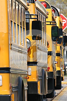 Yellow school buses