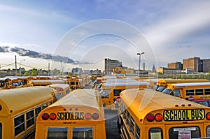 Yellow school buses against the dark blue sky