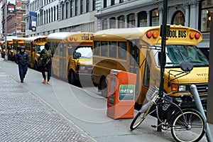 Yellow School Buses Line the Streets of New York