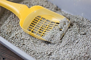 Yellow scoop on pets litter box filled by litter.