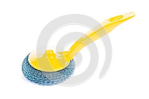 Yellow scrubbrush isolated