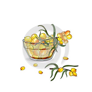 Yellow sea-buckthorn berries in a glass plate and berries on a branch. Vector illustration