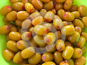 Yellow sea buckthorn berries on a green background