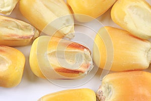Yellow Seed Corn