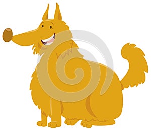 Yellow shaggy dog cartoon