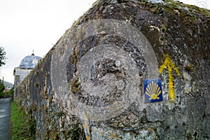 Yellow shell in Spain on mojon in Spain