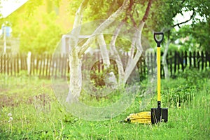 Yellow shovel and hose pipe