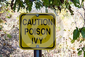 Yellow sign warning of dangers of poison ivy nearby