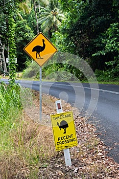 Yellow signs announcing free cassowaries in the area with black silhouettes. Take care, recent crossing.  The biggest bird of
