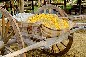 Yellow silkworm cocoon shell through the Silk Route