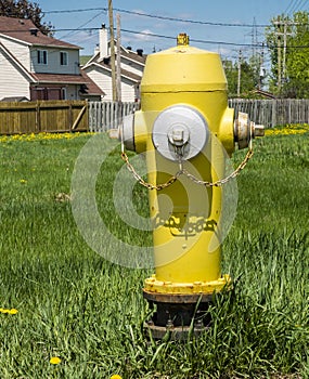 Yellow and silver Fire Hydrant