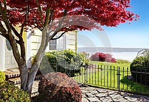 Yellow small home with water view and red maple.