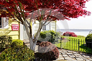 Yellow small home with water view and red maple. For sale.