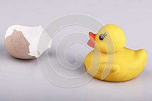 Yellow small plastic duck with egg isolated