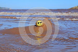 Yellow smiley face painted on the stone