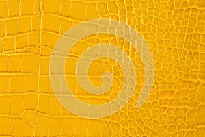 Yellow snakeskin leather background.