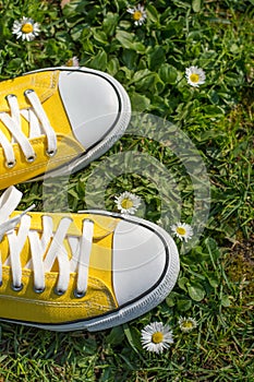 Yellow sneakers in a dasiy field