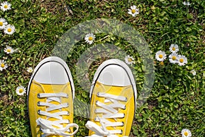 Yellow sneakers in a dasiy field