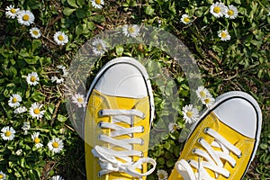 Yellow sneakers in a dasiy field