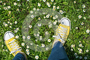 Yellow sneakers in a dasiy field. First person view