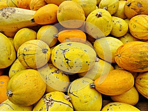 Yellow spaghetti squash or vegetable spaghetti is a group of cultivars of Cucurbita pepo subsp. pepo.