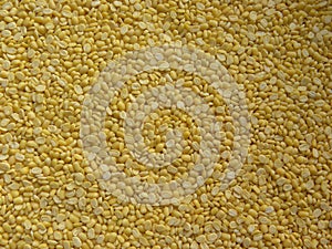 Yellow split Mung dal beans
