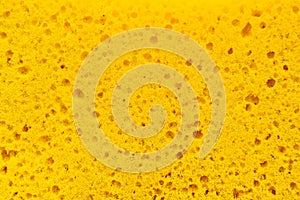 Yellow sponge texture