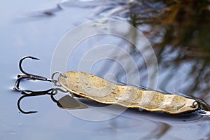 Yellow spoon lying on thin autumn ice