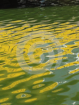 Yellow spot, reflection  in water, green water