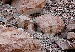 Yellow-spotted rock hyrax or Heterohyrax  bruceii mother with cubs hiding among rocks photo