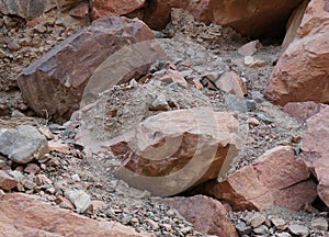 Yellow-spotted rock hyrax or Heterohyrax  bruceii mother with cubs hiding among rocks photo