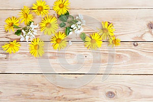 Yellow spring flowers are laid out on a wooden background. Top view