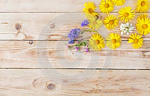 Yellow spring flowers are laid out on a wooden background. Top view