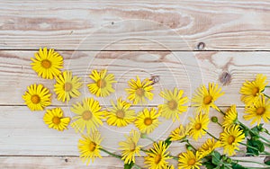 Yellow spring flowers are laid out on a wooden background. Top view