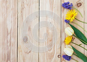 Yellow spring flowers are laid out on a wooden background. Top view