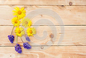 Yellow spring flowers are laid out on a wooden background. Top view