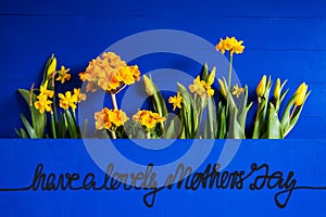 Yellow Spring Flowers, Tulip, Narcissus, Text Have A Lovely Mothers Day