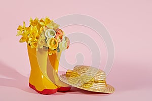 Yellow spring flowers tulips in yellow rubber boots on pink background. Gardening concept. Copy space