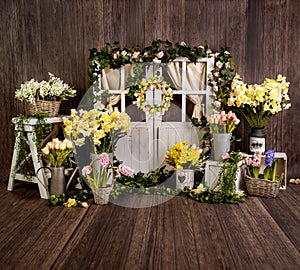 Yellow spring sett up with colourful flowers yellow and dark wood photo