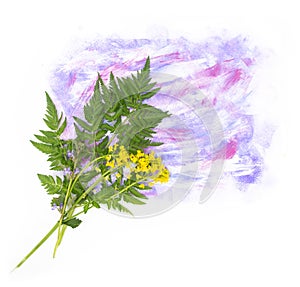 Yellow spring summer flower and grass bouquet with hand painted bright watercolor blot spot splash isolated on background. Design