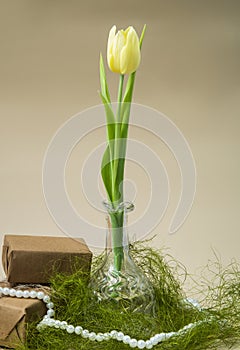 yellow spring tulip in a crystal vase