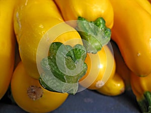 Yellow squash