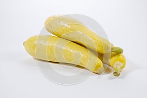 Yellow Squash