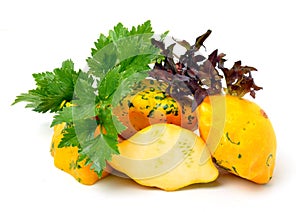 Yellow Squash Pattypan with different lettuce, water-cress, spin