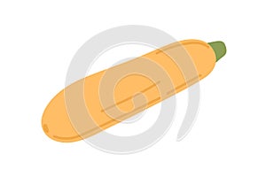 Yellow squash vegetable. Zucchini icon. Courgette plant. Summer zuchini veggie. Flat vector illustration of raw food