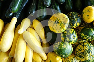 Yellow Squash, Zucchini and Gourds for Sale at a Farmers Market