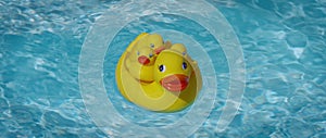 Yellow squeaky ducky family in the pool